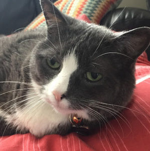 Meet your Posher, Kelsey